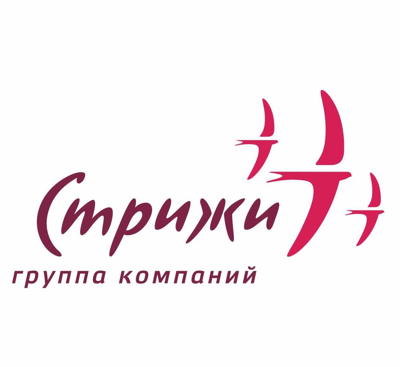 Стрижи